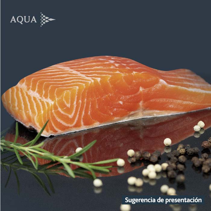 Filete Salmon Aqua 500 gr