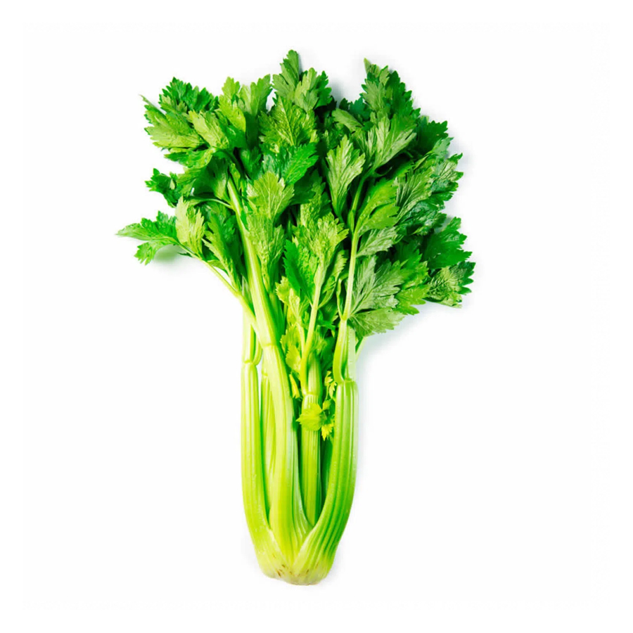 Apio Los Colonos Unidad