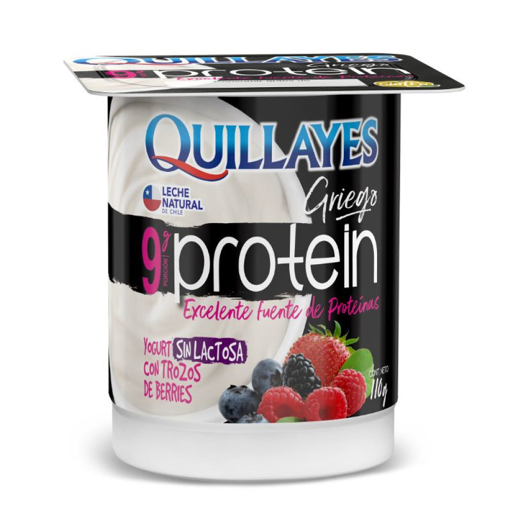 Yogurt Protein Berries Quillayes 110 Gr