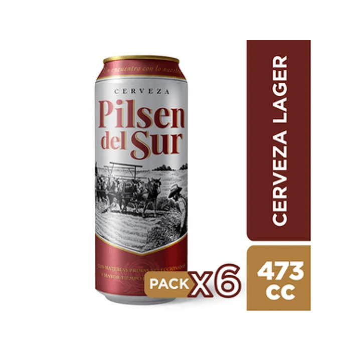 Cerveza Pilsen Del Sur Lata 6X473Cc