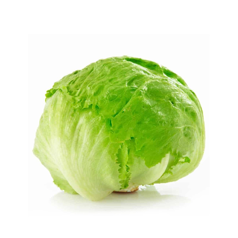 Lechuga Escarola Hortinorte Unidad 