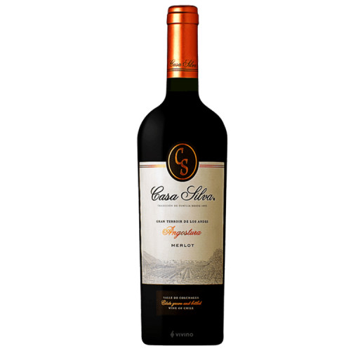 Vino Casa Silva Gran Terroir Merlot 750 cc