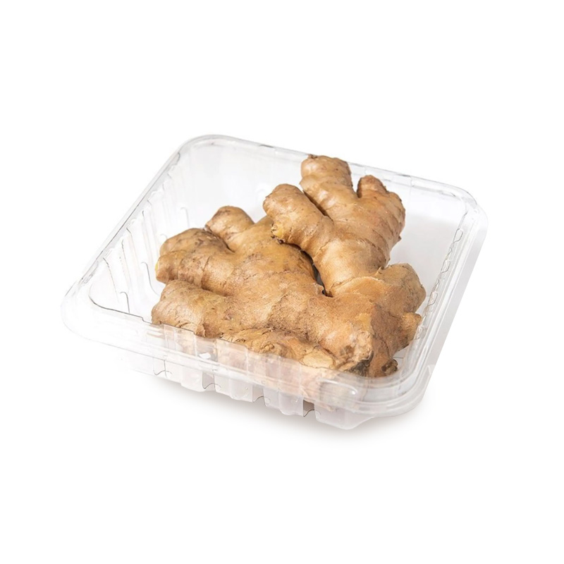 Jengibre V&T 100 Grs