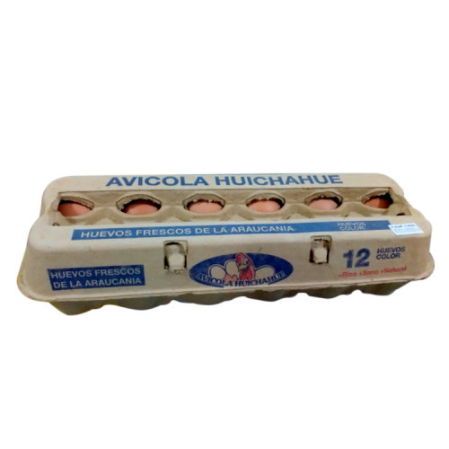 Huevos Huichahue Color 12 unidades