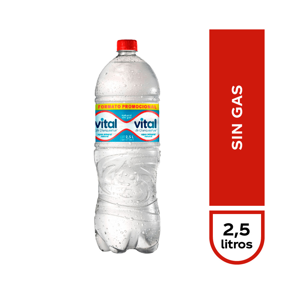 Vital S/Gas 2.5 Lt