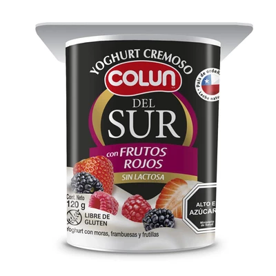 Yogurt Del Sur Frutos Del Sur 120 Gr