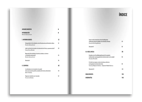 Alimentando la ciudad. Diálogos sobre infraestructura alimentaria urbana - vista alternativa