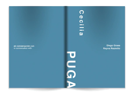 Stereografía Puga/Velasco - vista alternativa