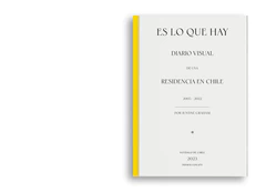 Es lo que hay. Diario visual de una residencia en Chile 2005-2022