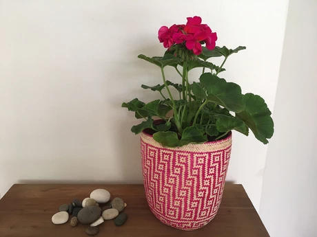 Canasto o porta macetero en fibra de palma natural y fucsia