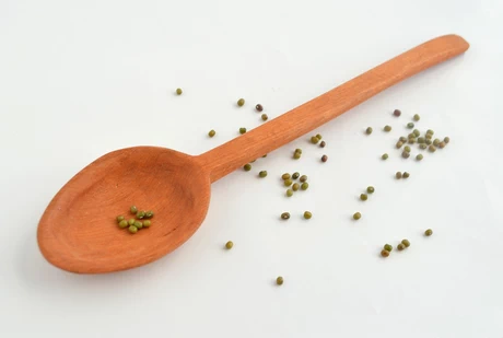 Gran cuchara tallada a mano en raulí nativo