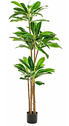 Dracena artificial