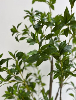 Pieris artificial 150 cms