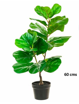 Ficus Lyrata artificial 
