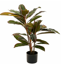 Amaranta 90 cms