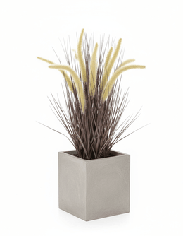 Grass morado