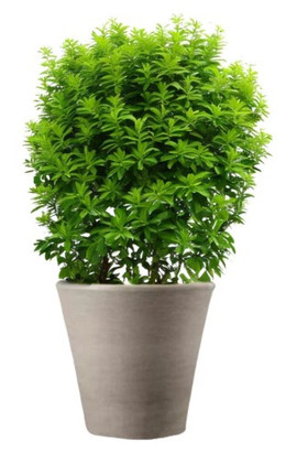 Macetero cónico Roma