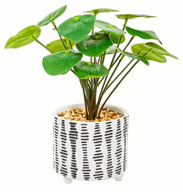 Peperomia artificial en macetero cerámico