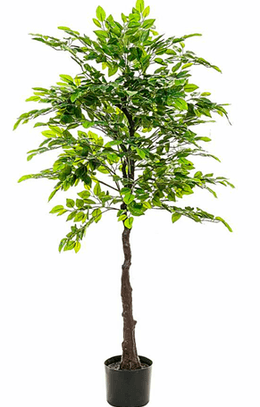 Ficus artificial 160 cms