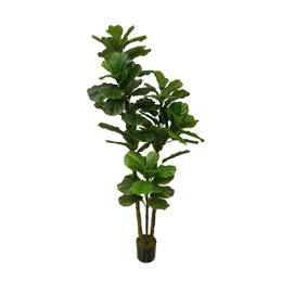 Ficus Lyrata artificial 150 cms