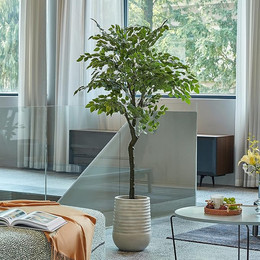 Ficus artificial 160 cms