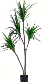 Dracena artificial