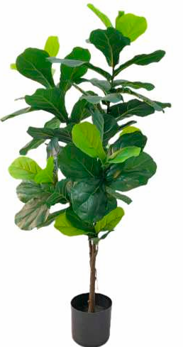 Ficus Lyrata artificial 