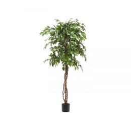 Ficus artificial 160 y 180 cms