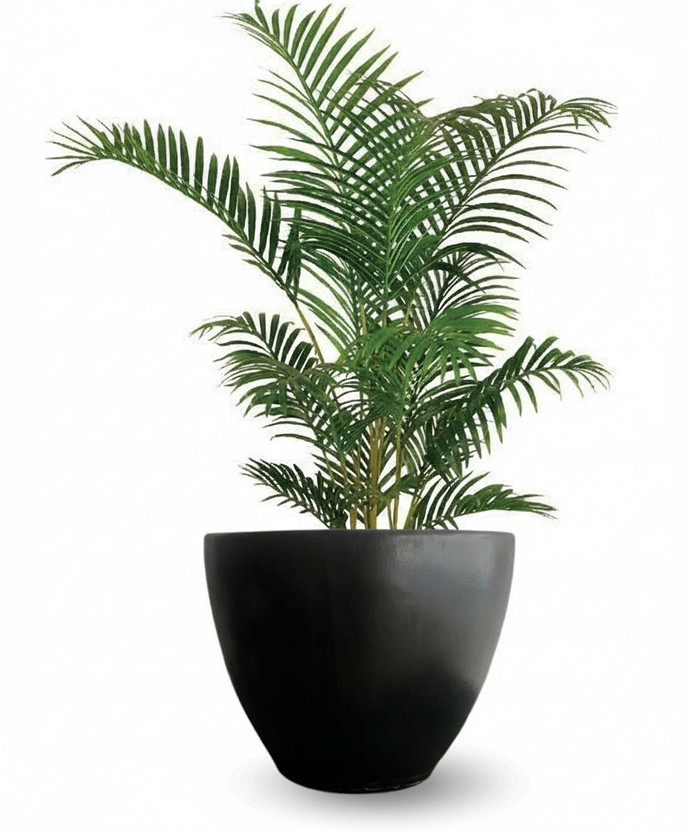 Macetero fibrocemento ovalado - Palmera_en_fibra.png.jpg