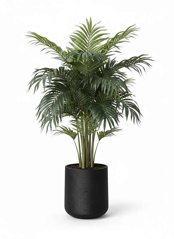 Macetero fibrocemento líneas - Fibrocemento_con_palmera.png.jpg