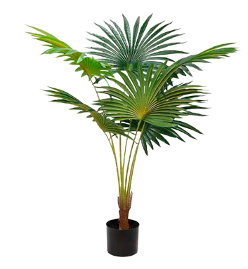 Palmera Abanico artificial - Palmera_abanico_150cms.png