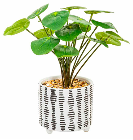 Peperomia artificial en macetero cerámico - Peperomia.png