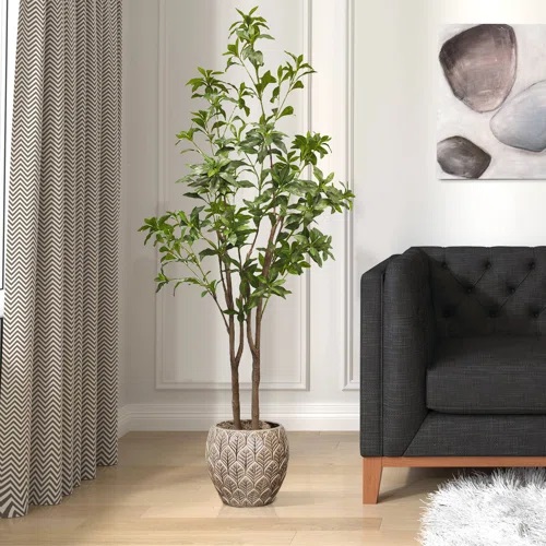 Pieris artificial 150 cms - Pieris_japonica.jpg