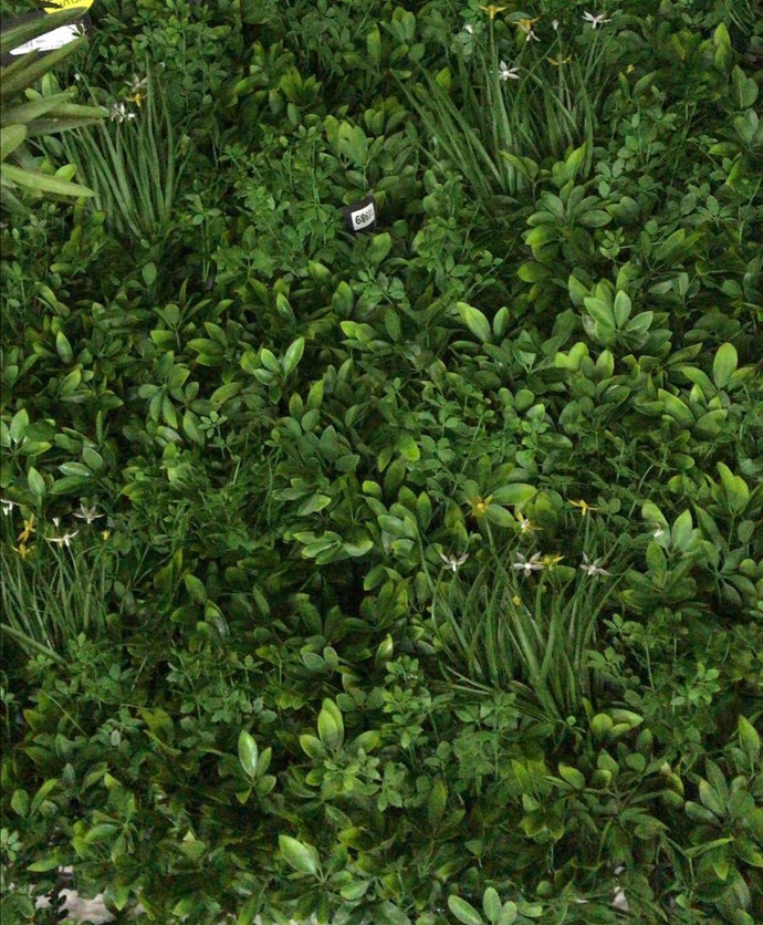 Jardín Vertical Selva - Jardin_nuevo_trebol2.jpeg