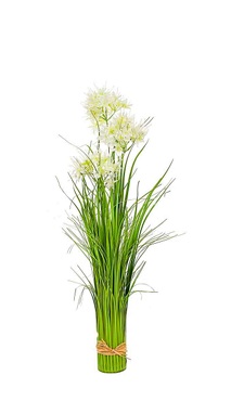 Grass con flor - Grass_con_flor.jpg