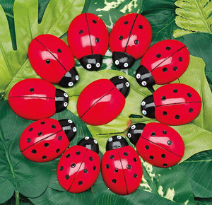Ladybugs Counting Kit