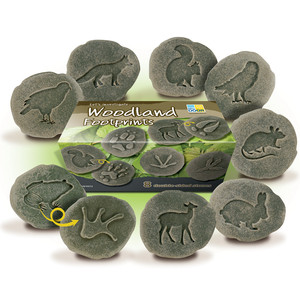Let´s investigate - Woodland Footprints