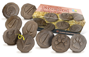 Let´s Investigate - Farmyard Footprints