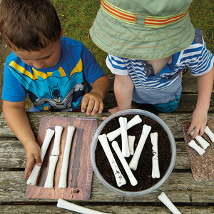 Dinosaurs Bones Math & Measure Resours