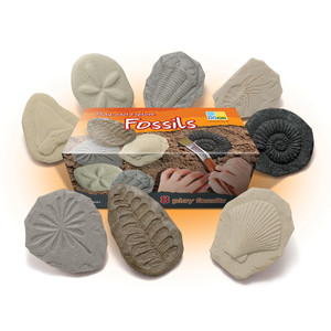 Let´s investigate - Fossils 