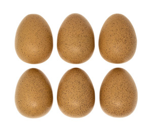Sensory Sound Eggs 