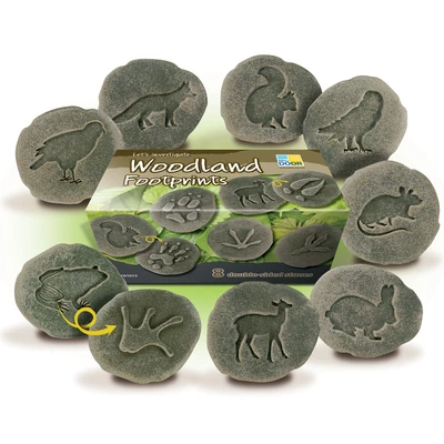 Let´s investigate - Woodland Footprints