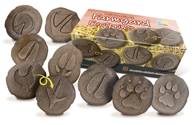 Let´s Investigate - Farmyard Footprints