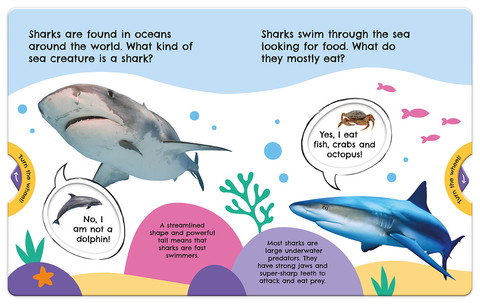 First Facts Sharks