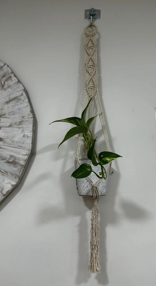 Set de colgante de macramé + macetero + planta - vista alternativa