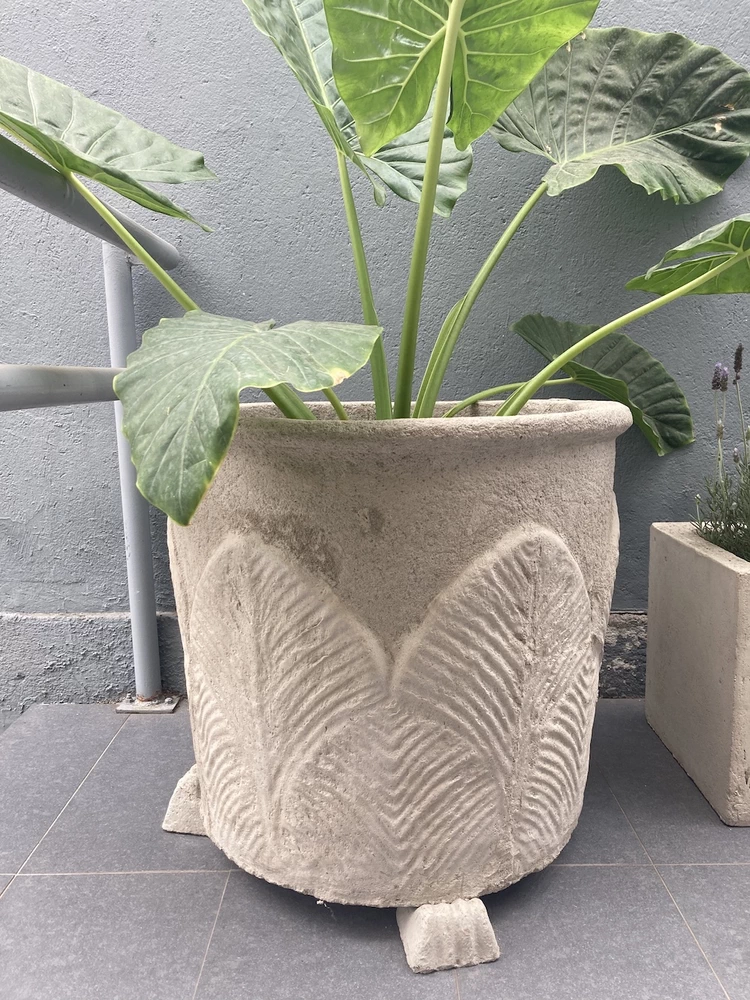 Macetero de hormigón con diseño de hojas 