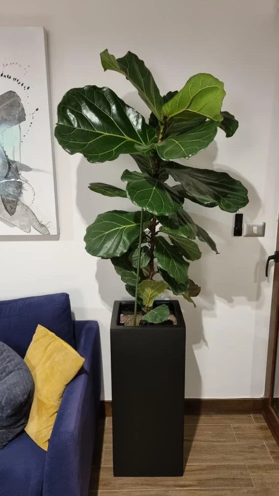 Macetero autorregante modelo Baden
