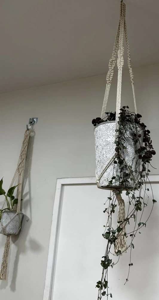 Set de colgante de macramé + macetero + planta