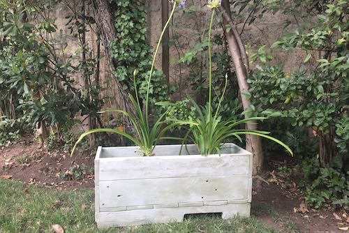 Jardineras de pallet desde 60 x 30 x 26 cm