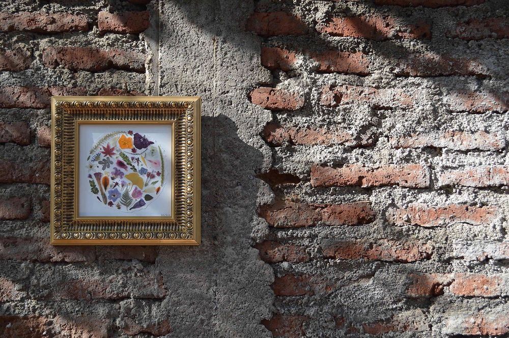  Herbario circular de flores prensadas con marco de 42 x 42 cm
